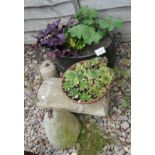 Stone garden ornaments together with two planters with plants
