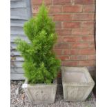 Pair of square stone planters, 1 with fern