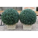Pair of square stone planters with round artificial trees