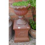 Stone pedestal planter on plinth