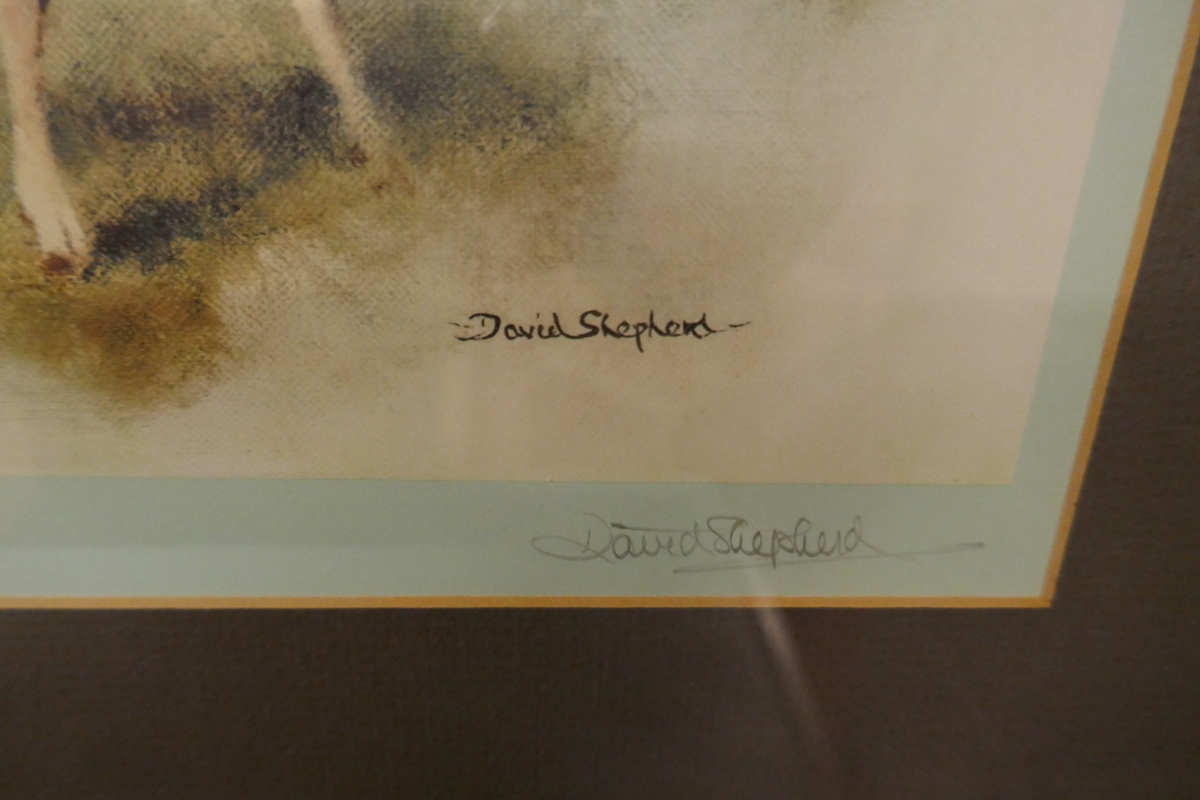 Signed David Shepherd print with blind stamp - Bild 2 aus 2