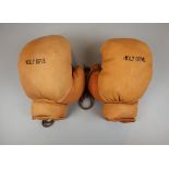 Pair of boxing gloves - Holy Devil