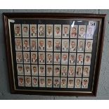 Framed cigarette cards - Cricketers