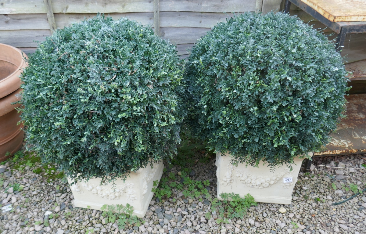 Pair of square stone planters with artificial trees