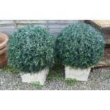 Pair of square stone planters with artificial trees