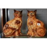 Pair of ceramic cats - Approx H: 32cm