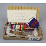 Collection of WWII military miniature badges