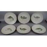 Collection of fish themed plates