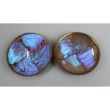 Pair of Thomas L Mott butterfly wing pin dishes