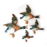 A set of four Beswick Mallard wall plaques, gloss, No.596/0 - No.