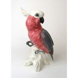 A large Beswick model of a Cockatoo in pink and grey colouring, No.