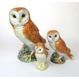 A Beswick model of an owl on a naturalistic base (No.