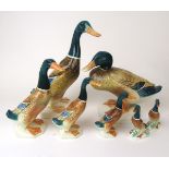 A collection of seven Beswick Mallard ducks to include No.817, No.902, No.756/1, No.756/2, No.