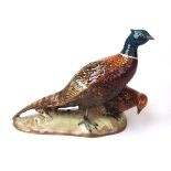 A Beswick model of a pair of Pheasants, gloss, No.