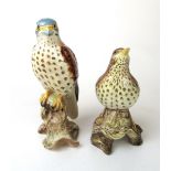 A Beswick model of a Kestrel (No.2316) together with a Beswick model of a Song Thrush (No.