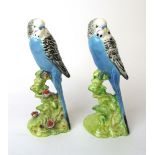 Two Beswick models of blue Budgies, No.