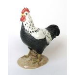 A Beswick model of a Sussex Cockerel, No.1899, gloss. CONDITION REPORT: Crazing.