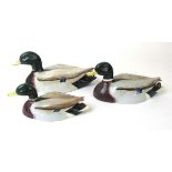 A set of three Beswick Peter Scott Mallards, No.1518/1-No.