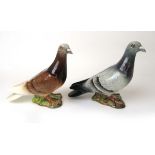 Two Beswick models of Pigeons, one in grey, one in brown, No.