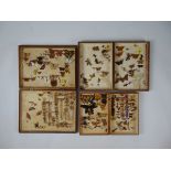 Three late 19th century display cases containing moths, butterflies, scorpion, caterpillar,