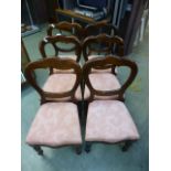A set of six Victorian style balloon back dinning chairs