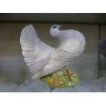 A Beswick model of a Fantail Pigeon, gloss, No.1614 CONDITION REPORT: Crazing.