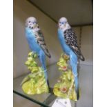 Two Beswick models of blue Budgies, No.