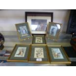 Seven framed and glazed Cashes silks of birds and lady Godiva