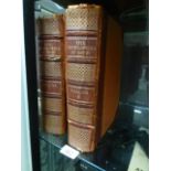 Two part leather bound books The Encyclopedia of Sport volumes one and two