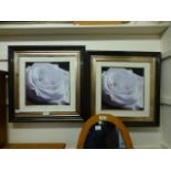 A pair of modern prints of roses