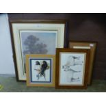 Four framed and glazed prints on animal themes