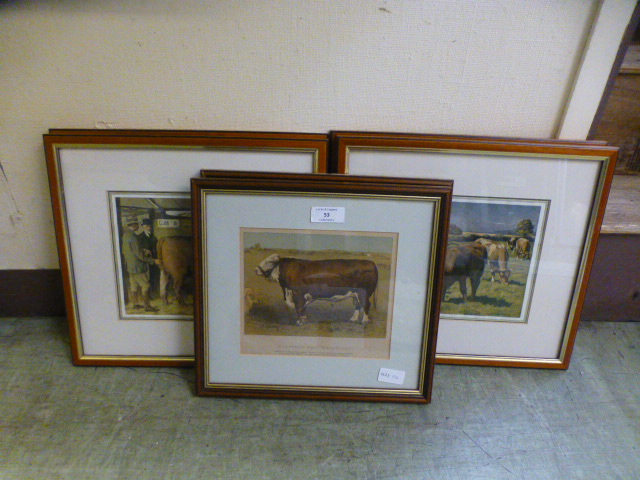 A collection of six framed and glazed prints of cattle