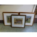 A collection of six framed and glazed prints of cattle