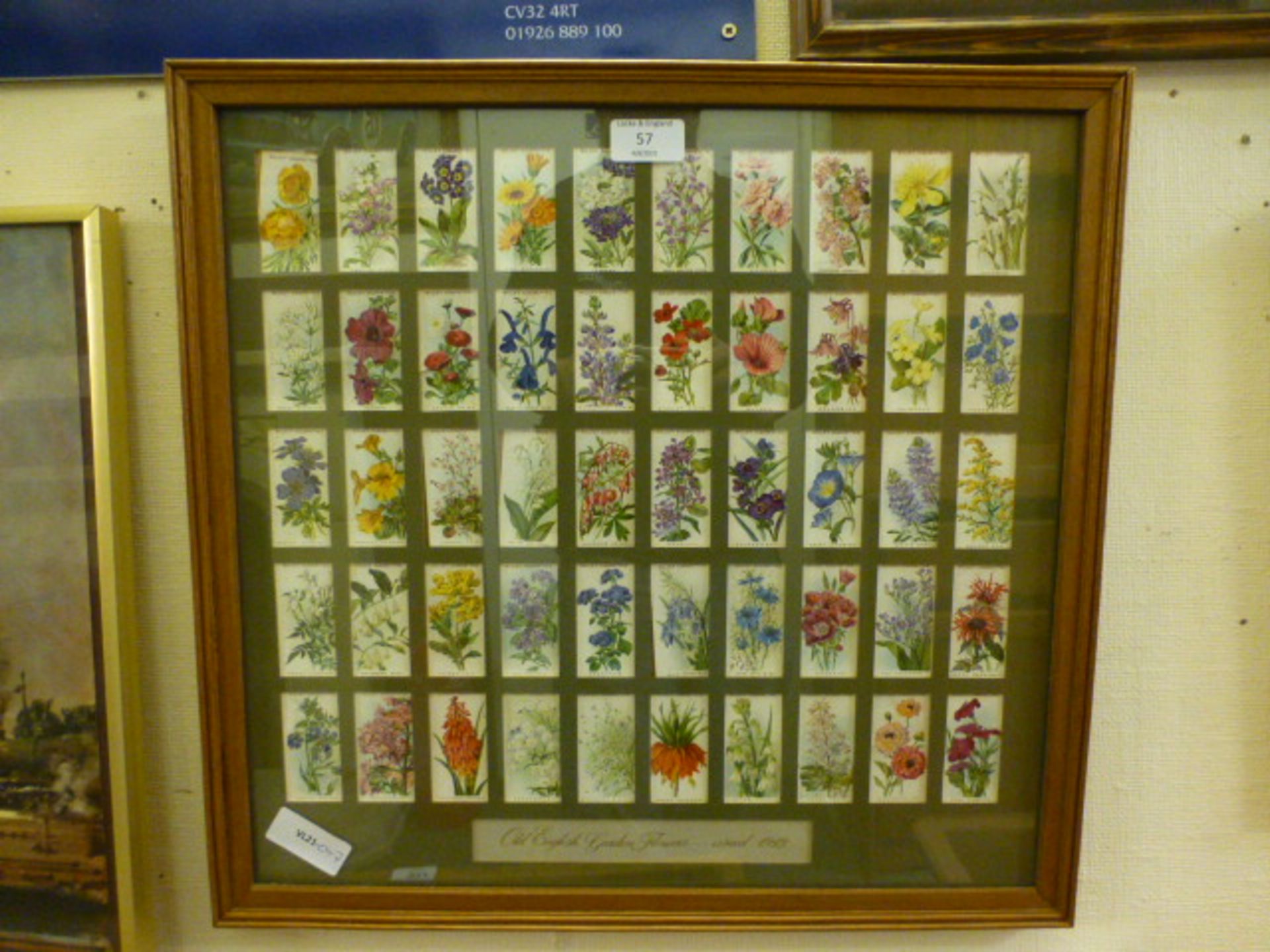 A framed and glazed cigarette card collection 'Old English Garden Flowers' first published 1913