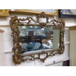 An ornate gilt framed wall mirror