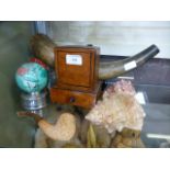 An assortment of items to include a Rugby related carved horn, cigarette dispenser, shells etc.