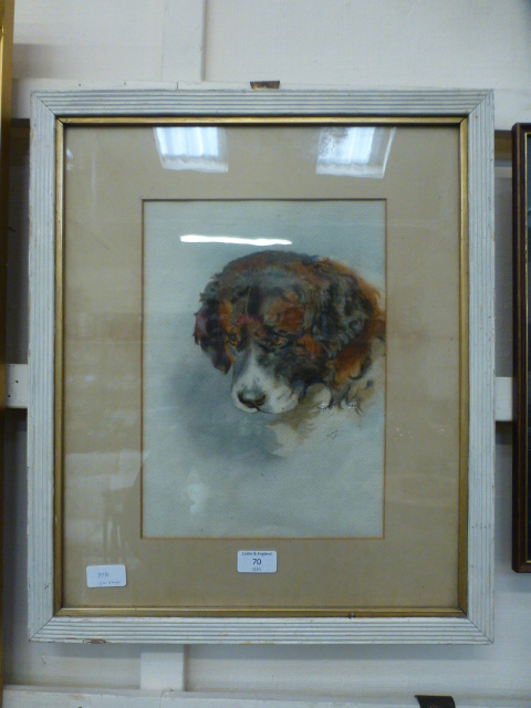 A framed and glazed water colour of dog signed JL Pike 1903