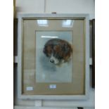A framed and glazed water colour of dog signed JL Pike 1903