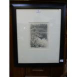 A framed and glazed pencil of pond scene