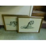 A set of four modern gilt framed and glazed prints of tiger cubs