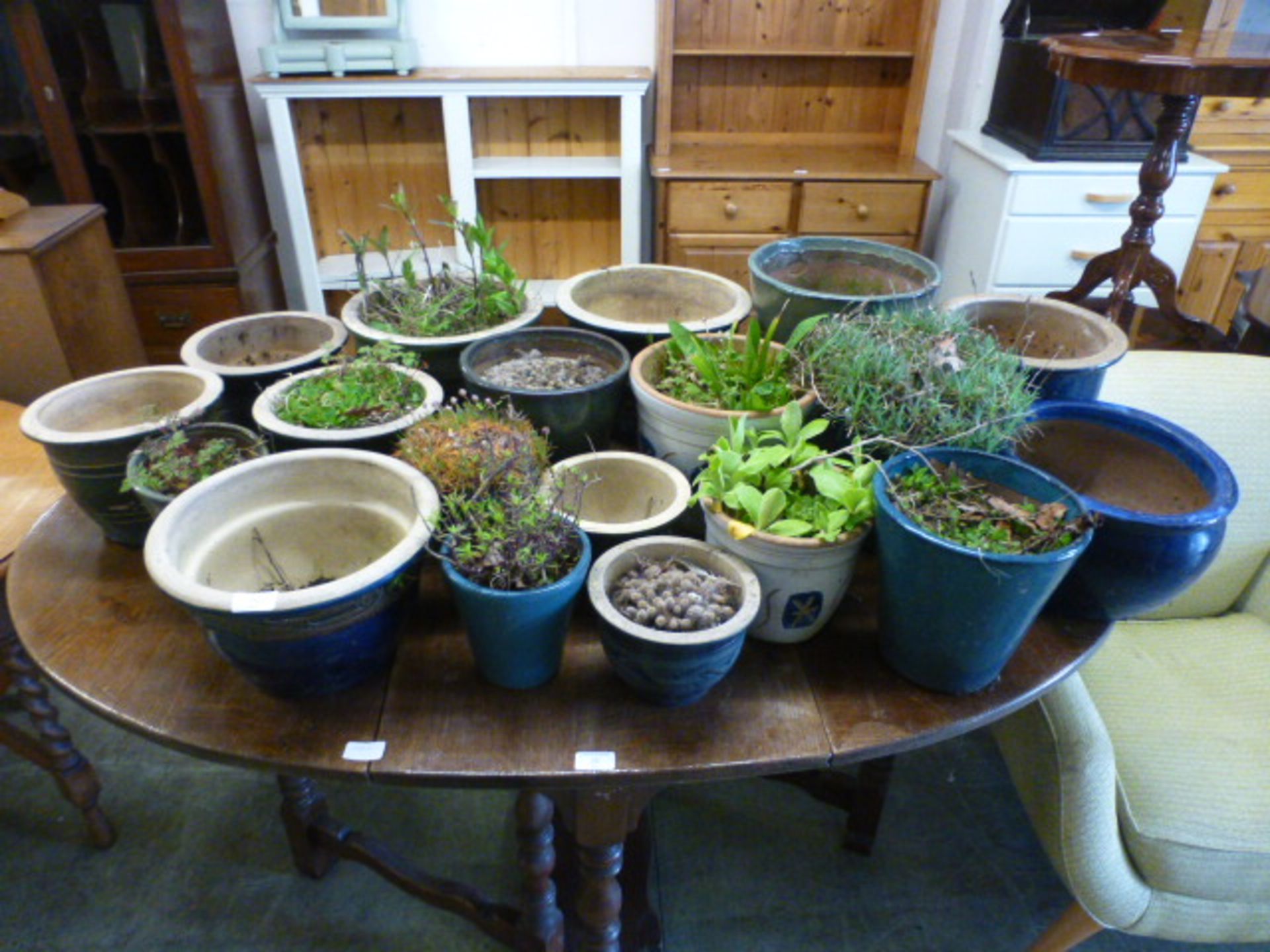 A large selection of glazed plant pots some with green plants