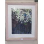 A framed and glazed artists proof print signed Skiffington 1/5