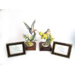 A pair of limited edition Royal Worcester models of Redstarts and Gorse,