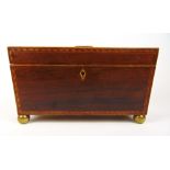 A Regency rosewood and strung sarcophagus tea caddy,