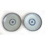 A pair of 19th century Chinese blue and white porcelain plates having underglaze floral decoration,