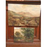 Two unframed oil on canvases of countryside scenes