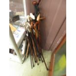 A large quantity of assorted walking sticks