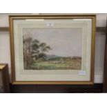 A framed and glazed watercolour of sheep in field signed Claude Hayes
