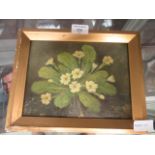 A framed and glazed oil on board of primroses signed bottom right Wilde