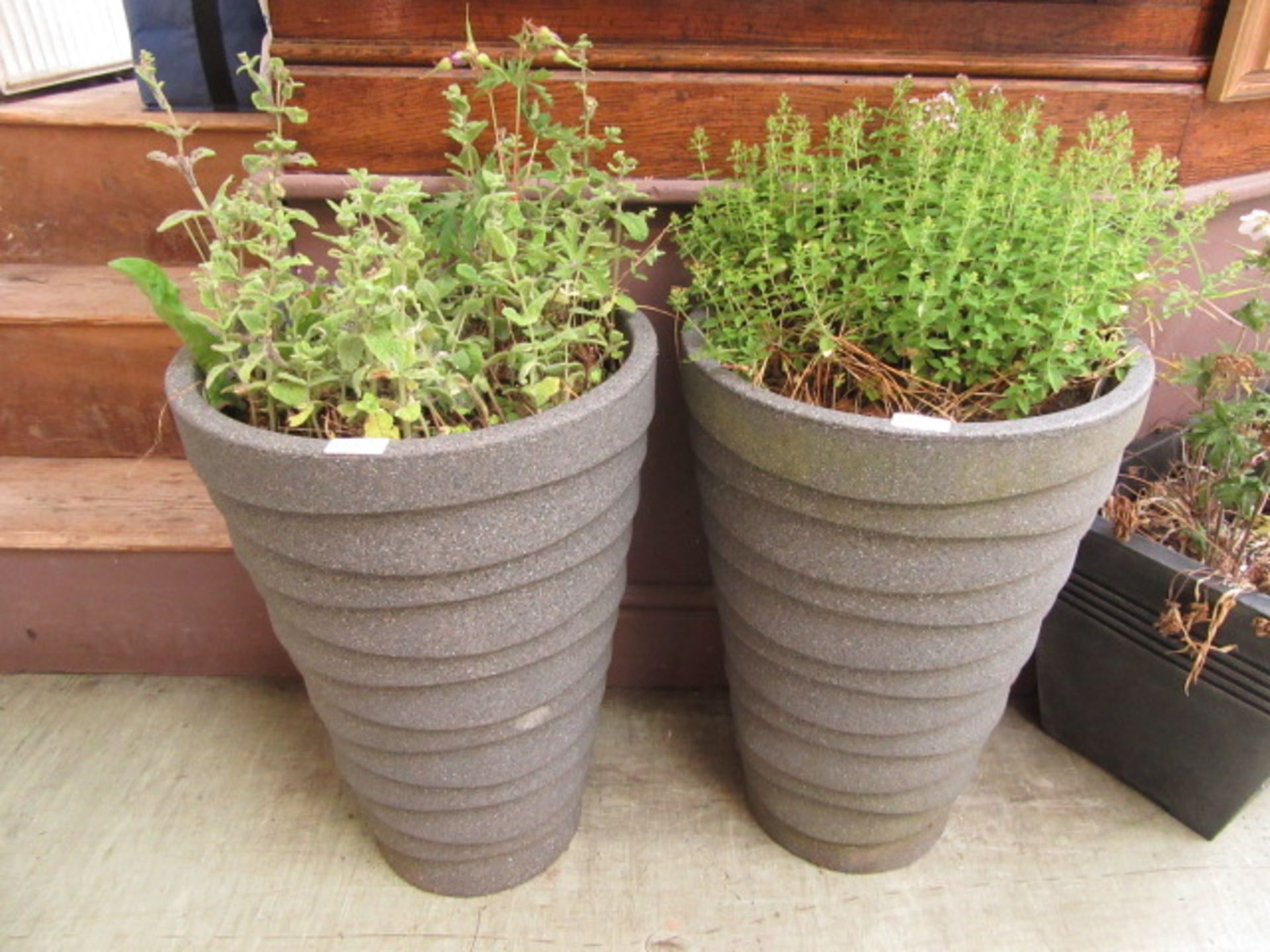 A pair of plastic garden pots containing green plants